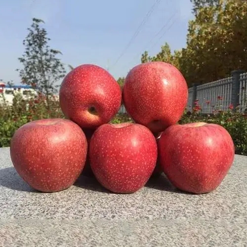 Qin Guan Apple